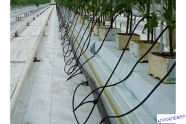 схема полива 1 капельница = 1 растение