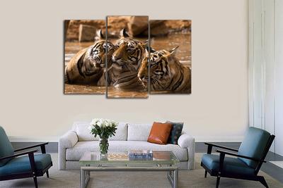 Модульная картина "Тигры в воде"