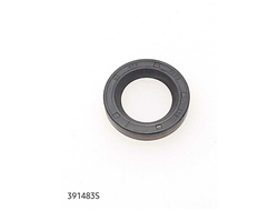 salnik-nizhn-classic