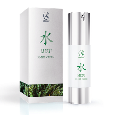 НОЧНОЙ КРЕМ MIZU NIGHT CREAM