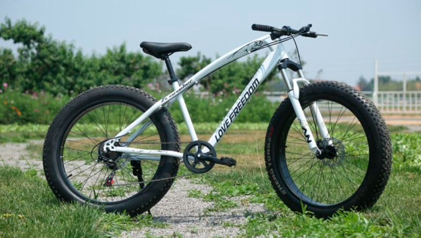 Fat bike sales love freedom