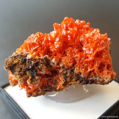 Крокоит — кристаллы на породе в пластиковом боксе. ААА