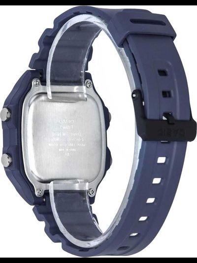 Часы Casio WS-1600H-2A