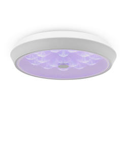 Freya, Потолочный светильник Cells, FR10012CL-L24W