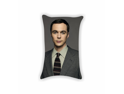 Подушка Теория большого взрыва, The Big Bang Theory №9