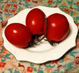 Семена томата Балет Мелани Гном