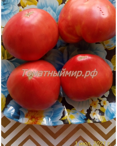 Томат Король Кинг