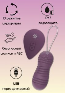 9021-11 ВИБРОШАРИКИ С ЦИРКУЛЯЦИЕЙ НА ПУЛЬТЕ УПРАВЛЕНИЯ TAKE IT EASY RAY PURPLE