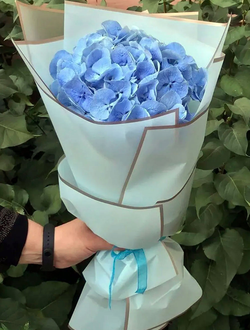 Моно-букет из гортензии (цвет на выбор)