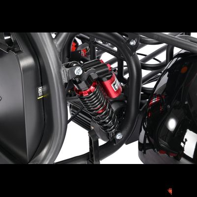 Электроскутер WHITE SIBERIA Pro Trike Трицикл 3000W Черный