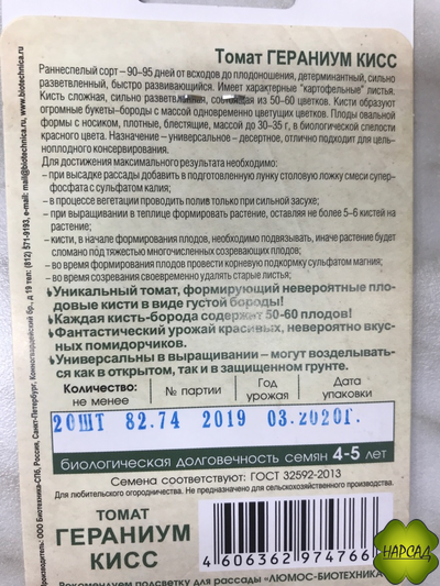 Томат "Гераниум кисс" (80 см, десертного вкуса и отличные для консервирования)