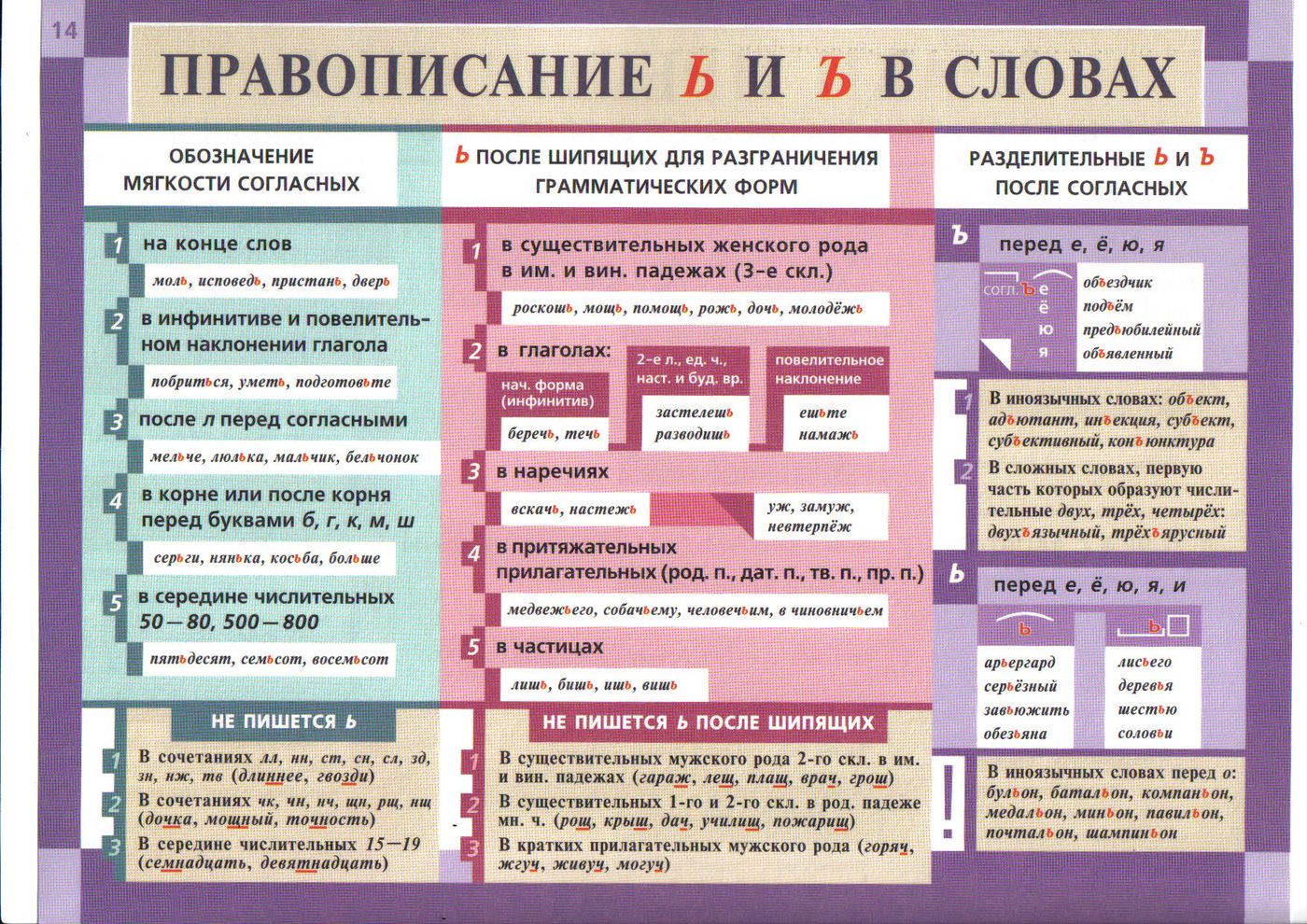 Случаи сходства грамматических форм