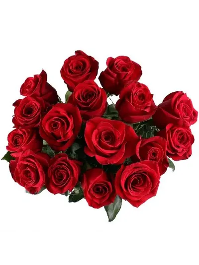 Букет из 15 голландских роз 100 см