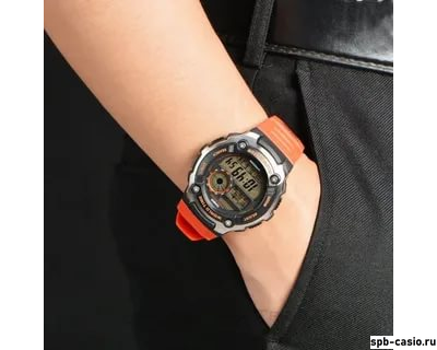 Часы Casio AE-2100W-4A