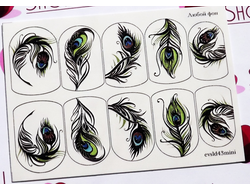 3D Слайдер-дизайн - 43 - Перья павлина