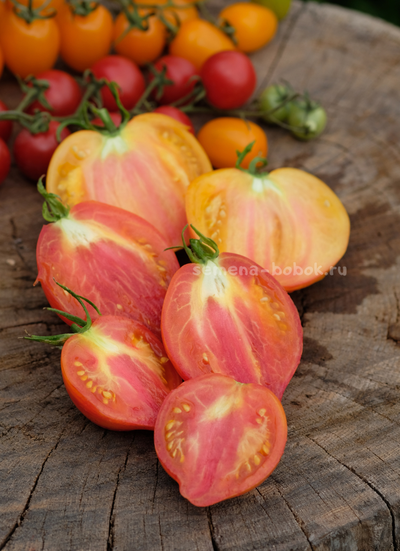 Томат Искушение, 10 шт