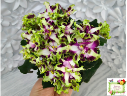 Лесной Царь (Кузина, Артемова) 2009 г. химера (стартер сорт)