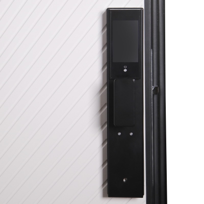 Стальная дверь   Ferrum (биометрический замок)