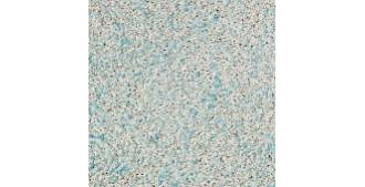 Жидкие обои Silk Plaster Prestige (Престиж) 403