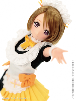 Кукла 1/6 PureNeemo Ханаё Коизуми (Hanayo Koizum)