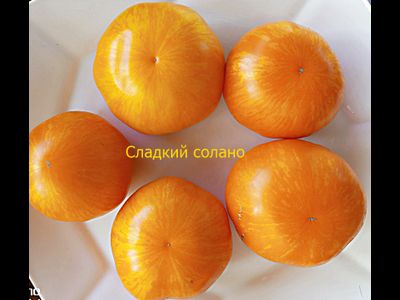 Томат Сладкий Солано (AAA Sweet Solano)