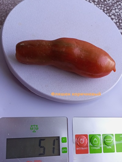 Томат Фляшентомат коричневый (Flaschentomaten brown)