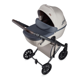 Коляска 3в1 Anex e/type Eden