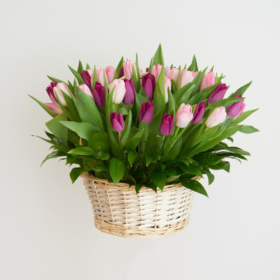 Корзина нежных тюльпанов