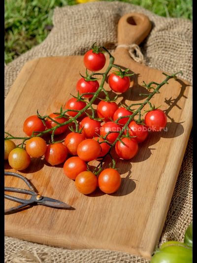 Томат Черри Аннабель, 10 шт