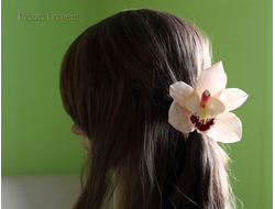 Орхидея Цимбидиум .