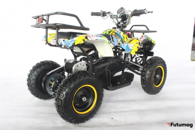 Квадроцикл GreenCamel Гоби K21 (30 Ah 36V 800W R6 Цепь) Граффити