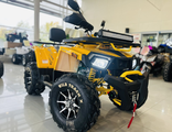 MOTOLAND WILD TRACK 200 WINCH