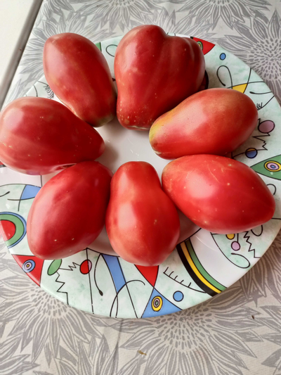 Томат Клубничный (Fragolone), Италия