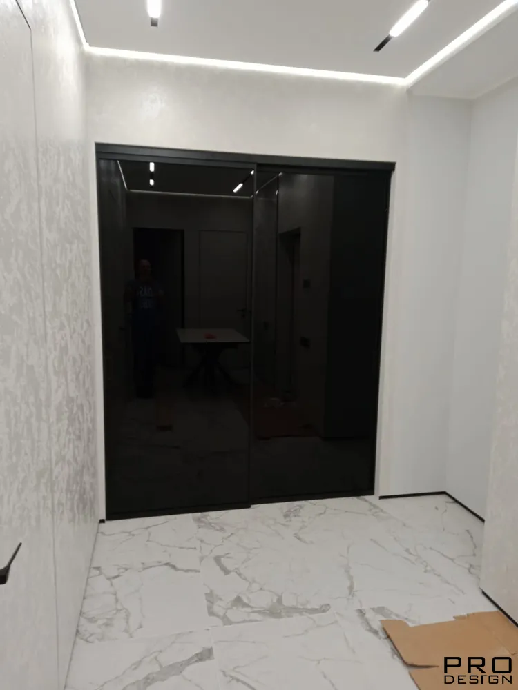 Раздвижная перегородка Pro Design Loft System с черным триплексом