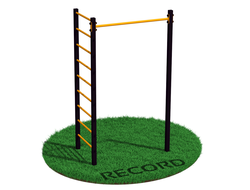 Уличный турник + шведская стенка Record RW-1 профиль 60х60 х 2 мм