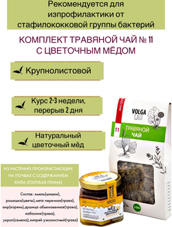 Травяной чай Волгаладь № 11 с цветочным медом, лечебный комплект, 70/140 г