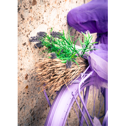 D0313 В сиреневых тонах