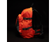Рюкзак GO DNMC Pack Оранжевый