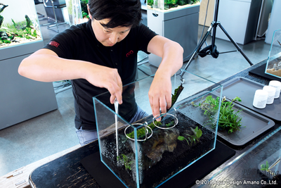 Chihiros Wabi-Kusa Hanger - набор держателей для Ваби-куса или горшков (3шт)