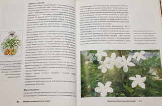 Хоффманн Е.-К.  Энергия комнатных растений. М.: БММ АО. 2011.