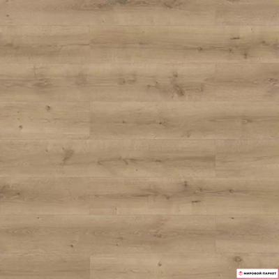 Ламинат Classen Sensa Lifestyle Ovilo 56167 купить в интернет-магазине mirovoy-parquet.ru