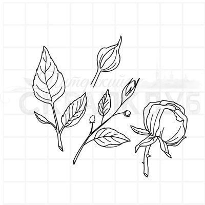 штамп веточки с бутонами роз