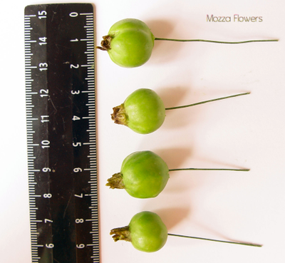 Молд "Деревенские яблочки"