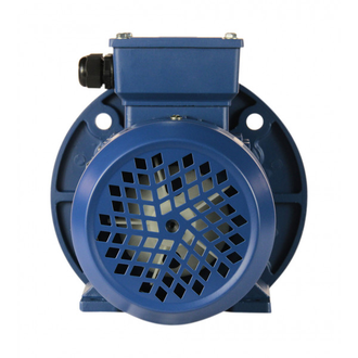 Электродвигатель 5АИ 71B4 (0,75 кВт) IM 2081