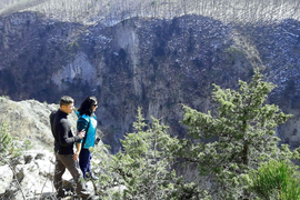 Индивидуальный тур в Крыму