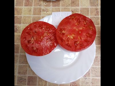 Томат Розовый из Пералеса (Rosa de Perales) Испания