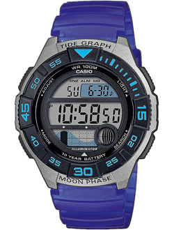 Часы Casio WS-1100H-2A