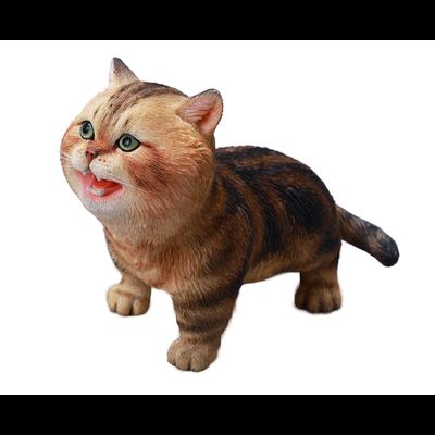 Крикливый котик - Коллекционная фигурка 1/6 Wa Wa Kitten (JXK277A) - JXK