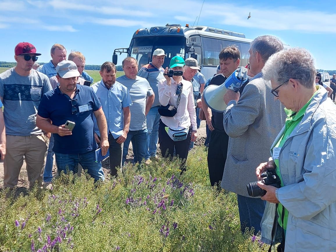 Бинарный посев рыжика и вики