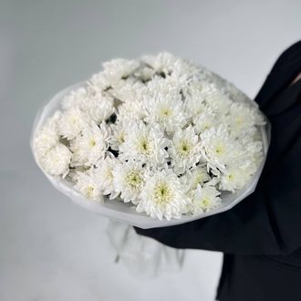 Монобукет с белой хризантемой